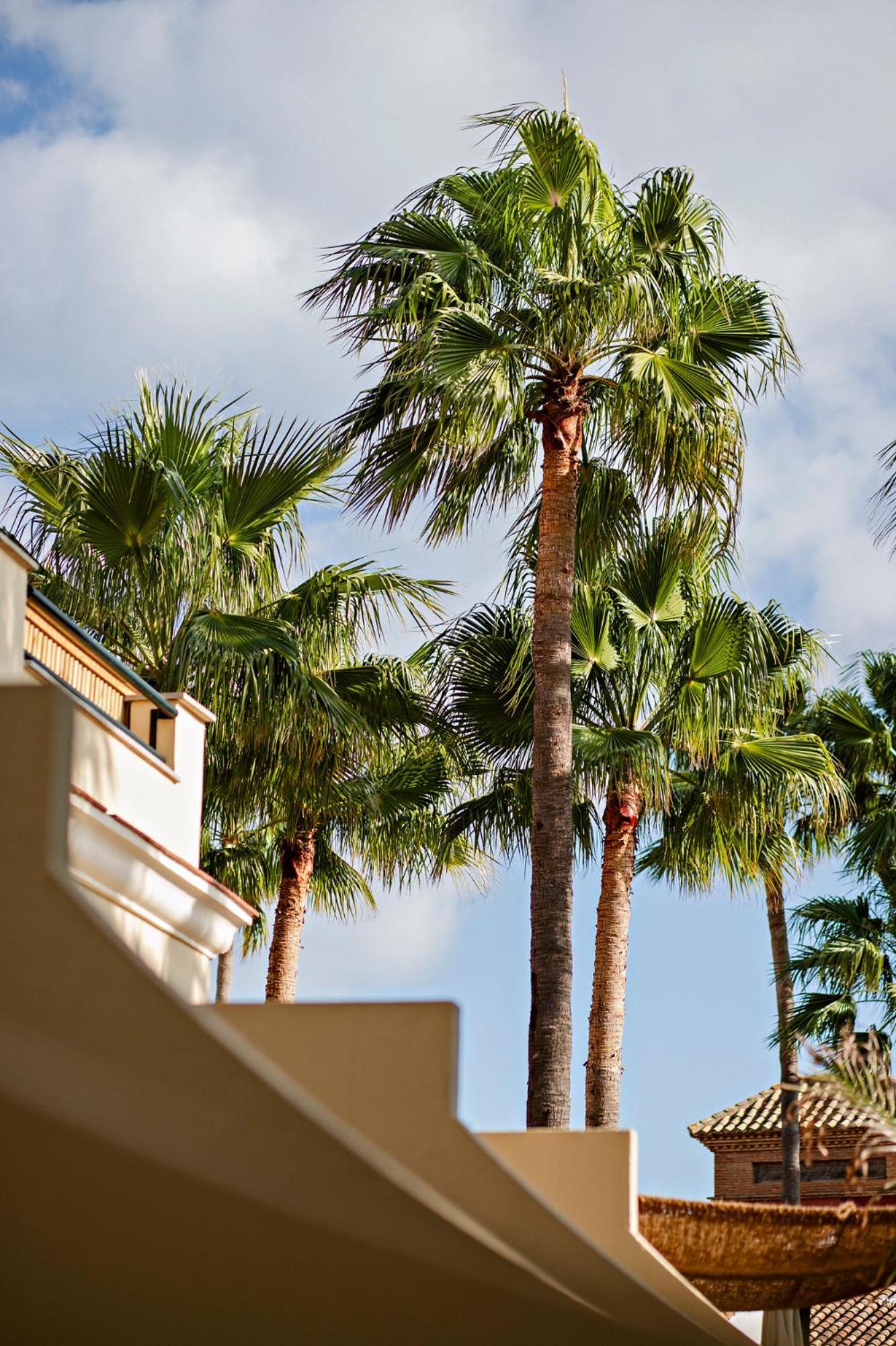 Alcaidesa Boutique Hotel Exteriér fotografie